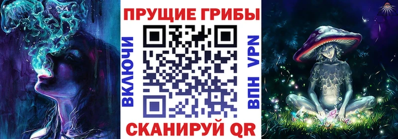 закладки  Одинцово  mega рабочий сайт  Псилоцибиновые грибы Psilocybine cubensis 